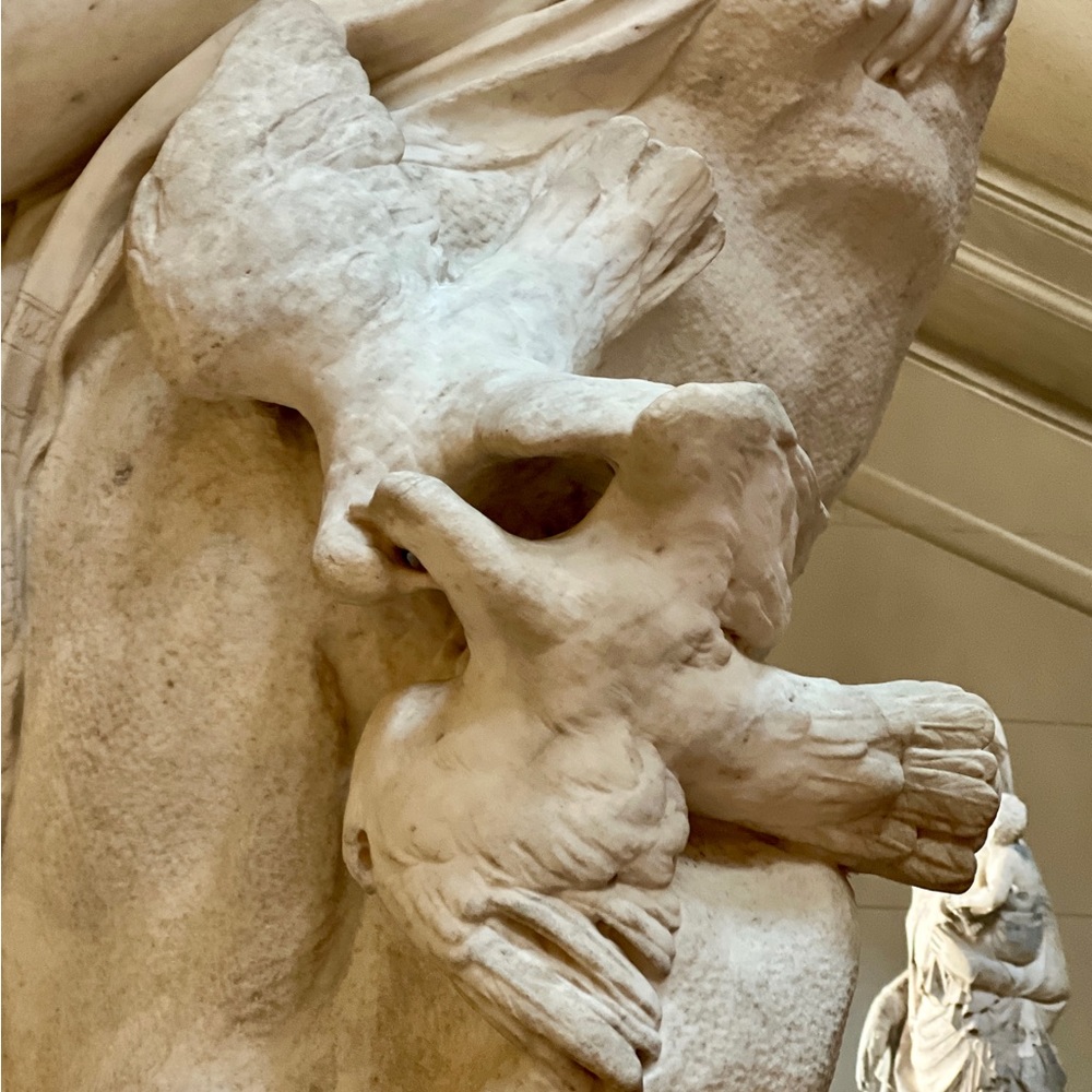 Meet your Posher, Rebecca